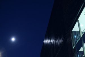 Max Simonischek: Der Bau Tiroler Landestheater